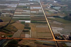 土壤水分速測儀在西瓜種植上的應(yīng)用