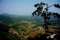 土壤水分速測儀在連翹種植中效果如何？