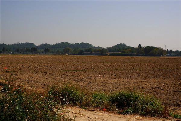 土壤水含量的變化對(duì)植物有哪些影響？