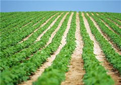 土壤墑情監(jiān)測(cè)站有哪些價(jià)值體現(xiàn)？