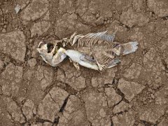 安裝土壤墑情自動監(jiān)測系統(tǒng)的意義在哪里？