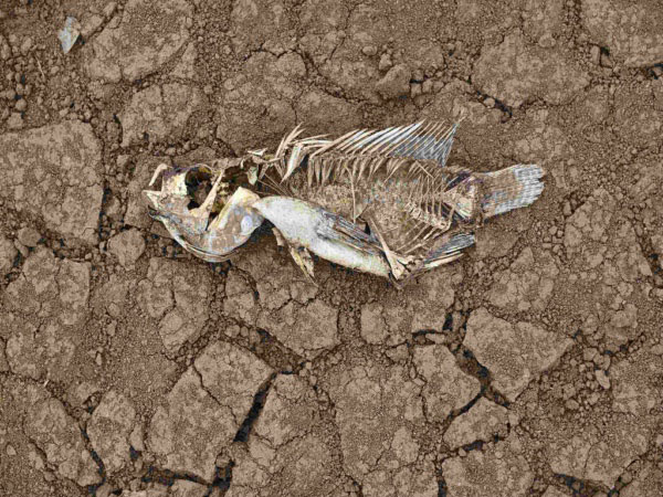 安裝土壤墑情自動監(jiān)測系統(tǒng)的意義在哪里？