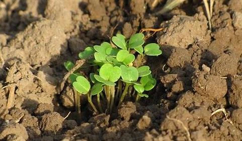 有了物聯(lián)網(wǎng)，土壤墑情監(jiān)測(cè)系統(tǒng)才有了“生命”！