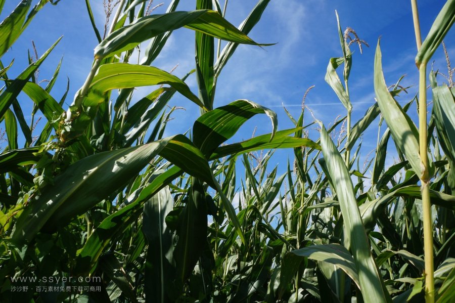 農(nóng)業(yè)節(jié)水，如何用科技支撐？